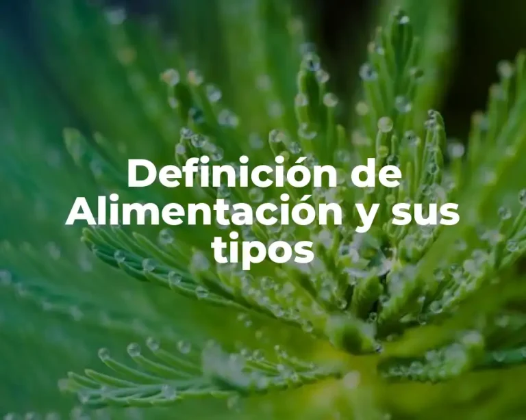 Definición de Alimentación y sus tipos