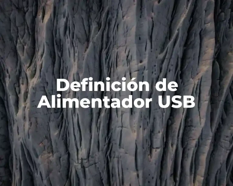 Definición de Alimentador USB