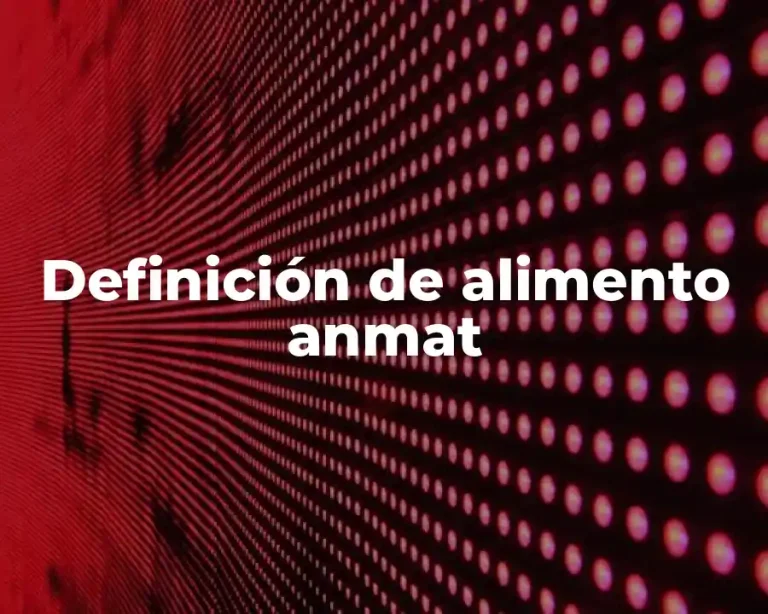 Definición de alimento anmat