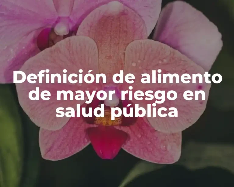 Definición de alimento de mayor riesgo en salud pública