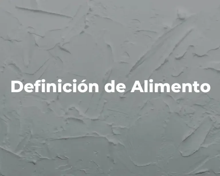 Definición de Alimento