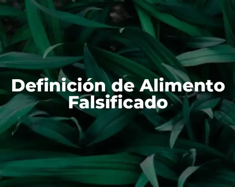 Definición de Alimento Falsificado