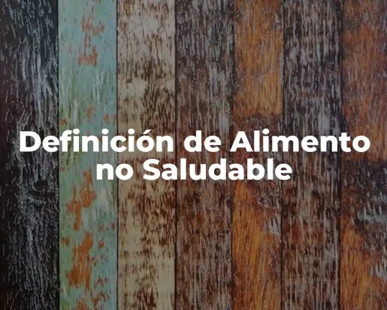 Definición de Alimento no Saludable