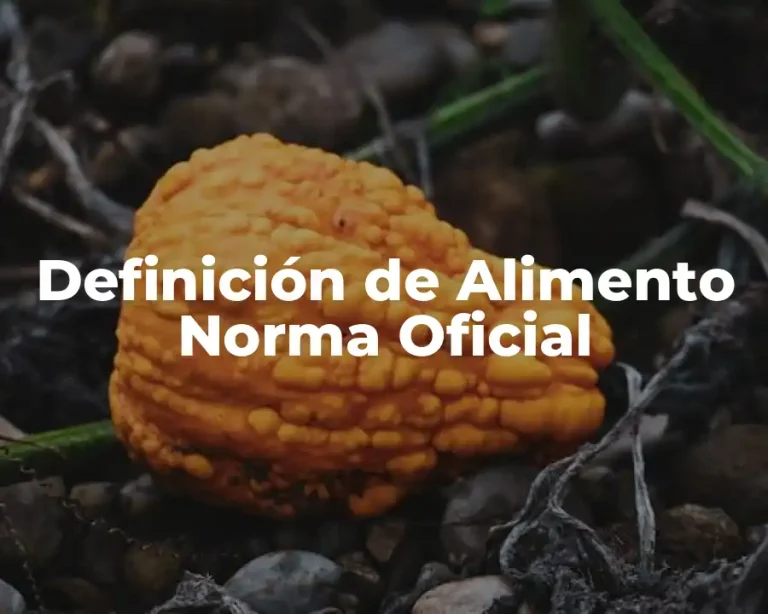 Definición de Alimento Norma Oficial