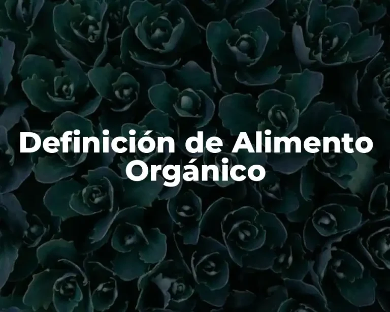 Definición de Alimento Orgánico