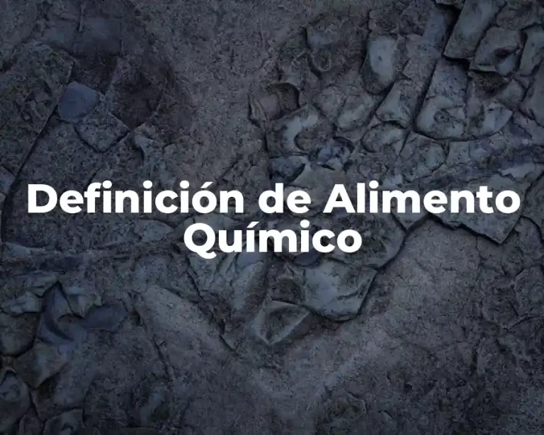Definición de Alimento Químico