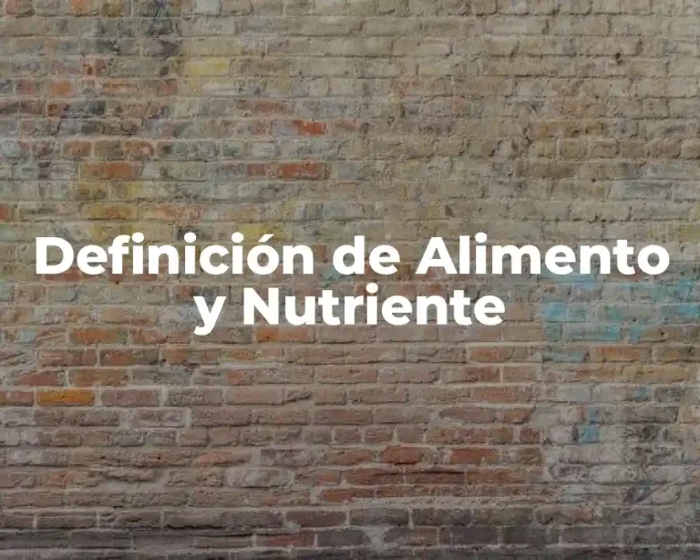 Definición de Alimento y Nutriente