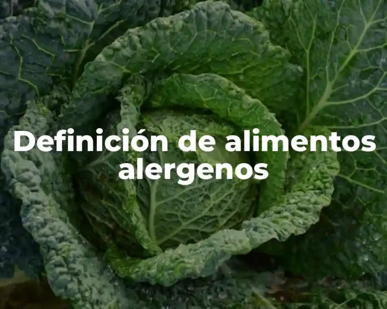Definición de alimentos alergenos
