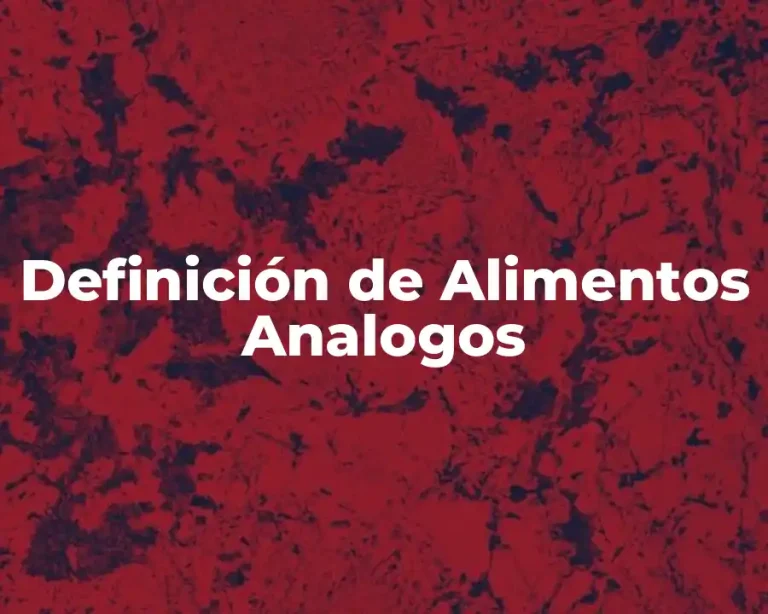 Definición de Alimentos Analogos