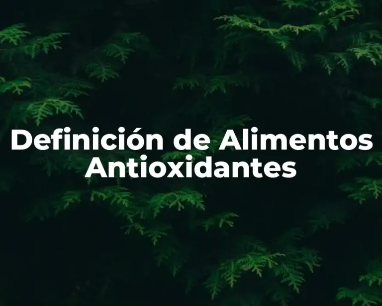 Definición de Alimentos Antioxidantes