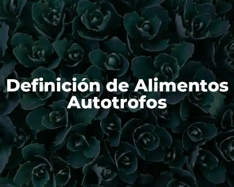 Definición de Alimentos Autotrofos