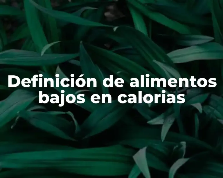 Definición de alimentos bajos en calorias