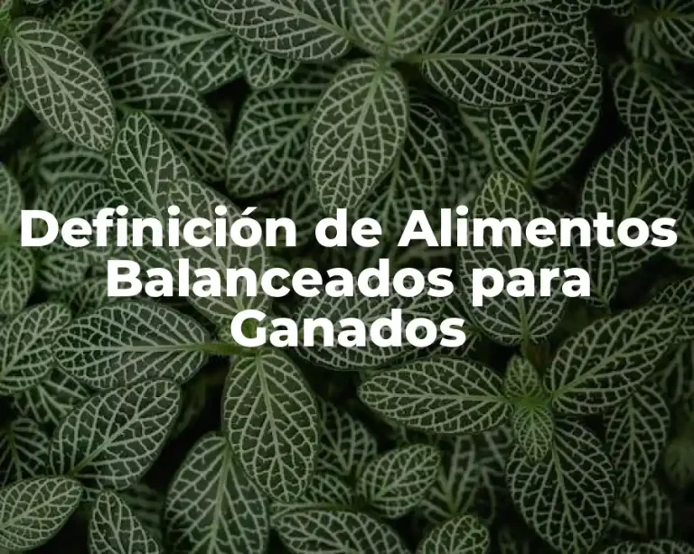 Definición de Alimentos Balanceados para Ganados