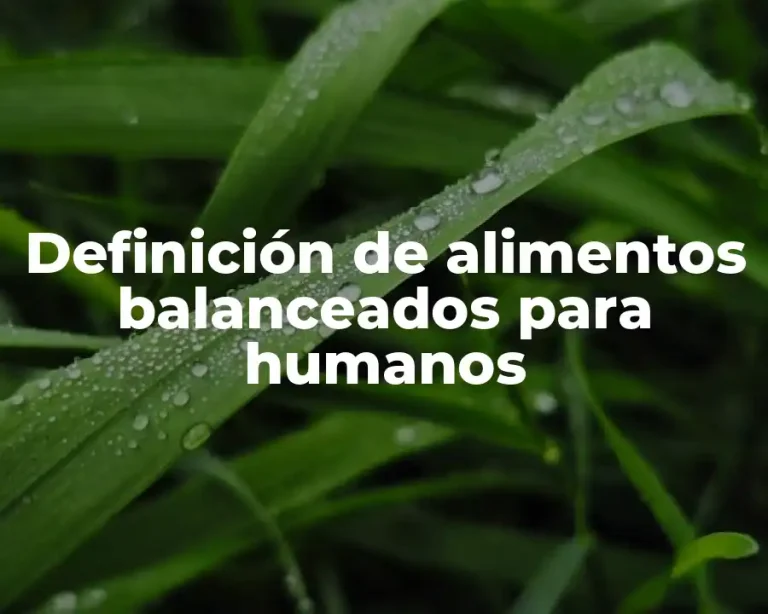 Definición de alimentos balanceados para humanos