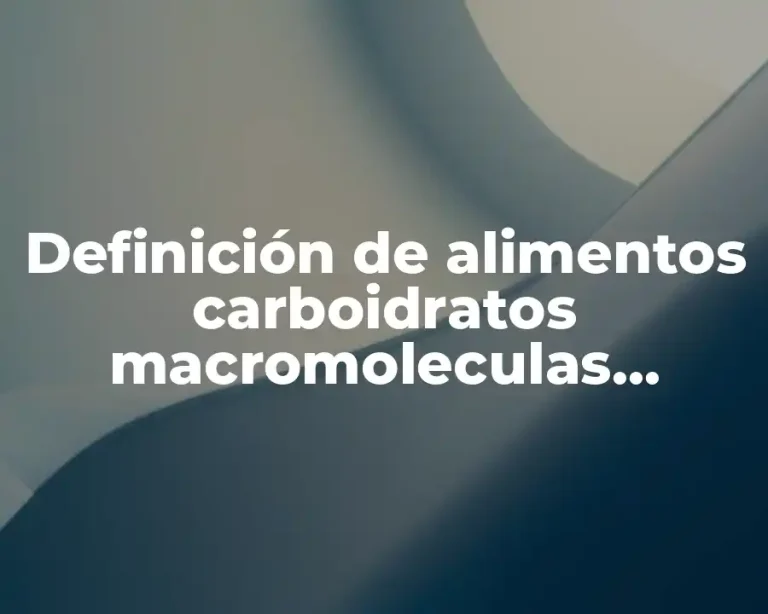 Definición de alimentos carboidratos macromoleculas naturales