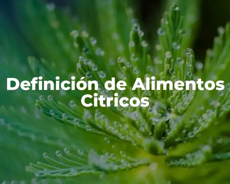 Definición de Alimentos Citricos
