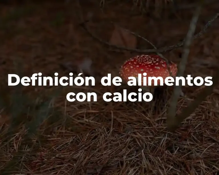 Definición de alimentos con calcio