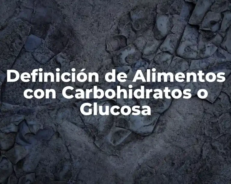 Definición de Alimentos con Carbohidratos o Glucosa