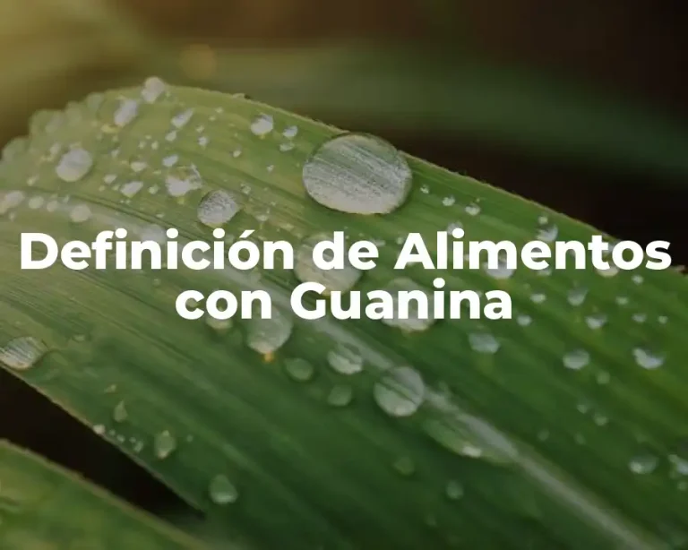 Definición de Alimentos con Guanina