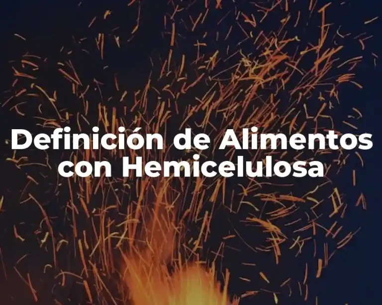 Definición de Alimentos con Hemicelulosa