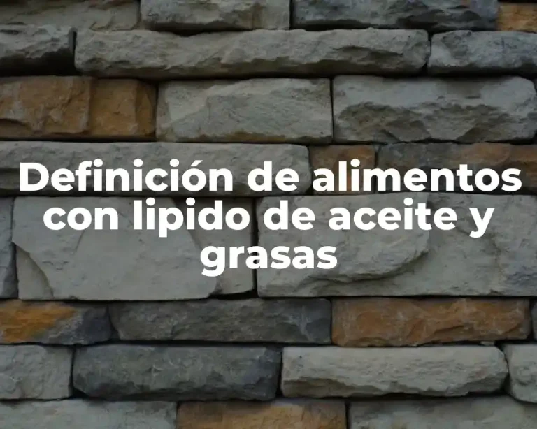 Definición de alimentos con lipido de aceite y grasas