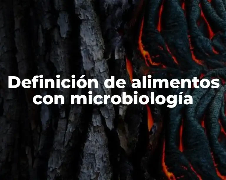 Definición de alimentos con microbiología