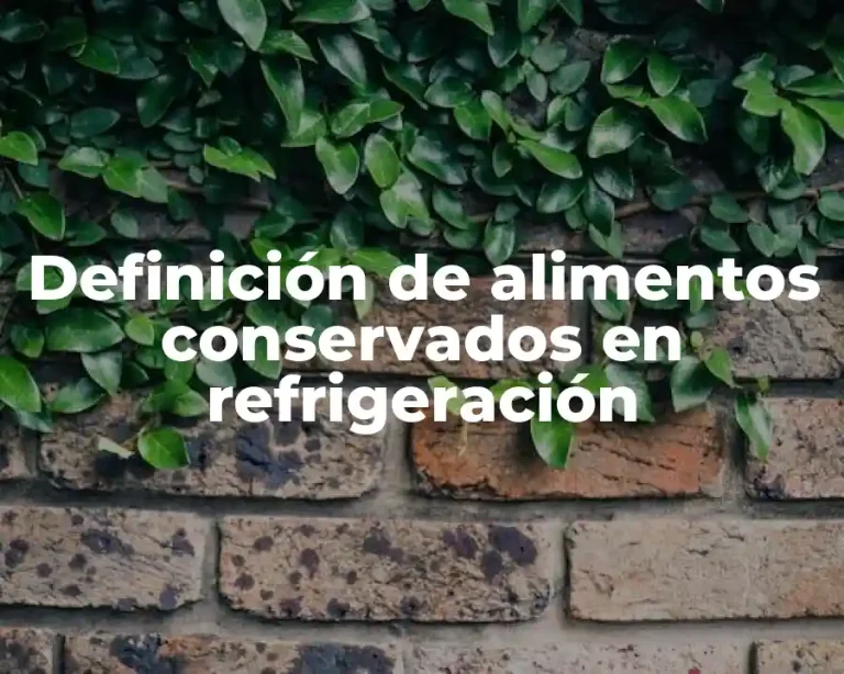 Definición de alimentos conservados en refrigeración