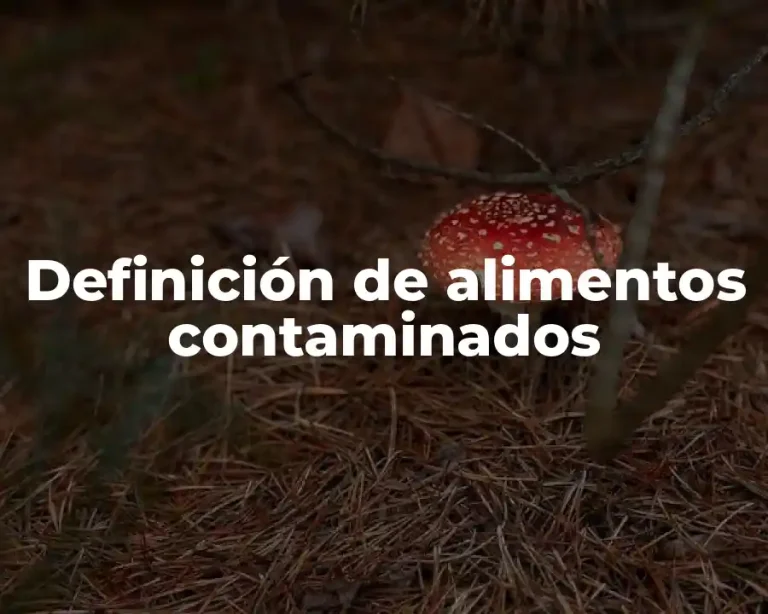 Definición de alimentos contaminados