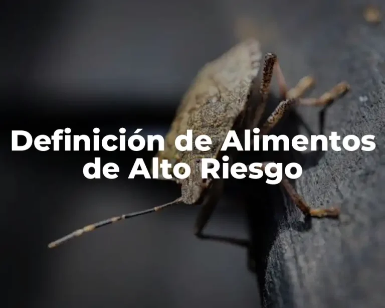 Definición de Alimentos de Alto Riesgo