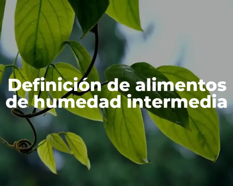 Definición de alimentos de humedad intermedia