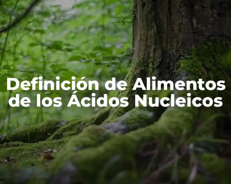 Definición de Alimentos de los Ácidos Nucleicos
