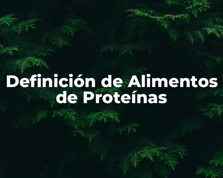 Definición de Alimentos de Proteínas