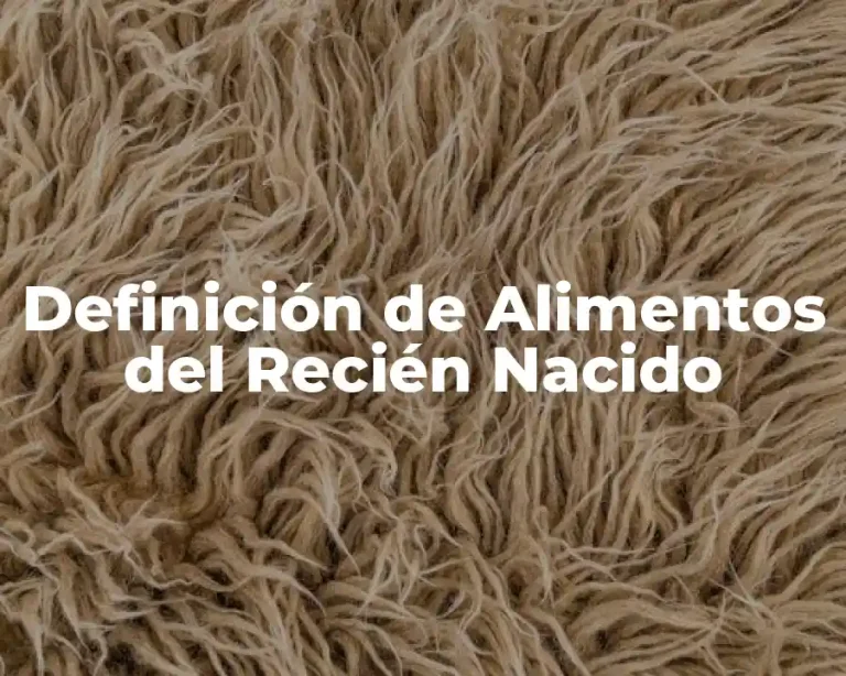 Definición de Alimentos del Recién Nacido