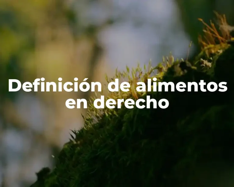 Definición de alimentos en derecho