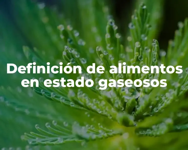 Definición de alimentos en estado gaseosos