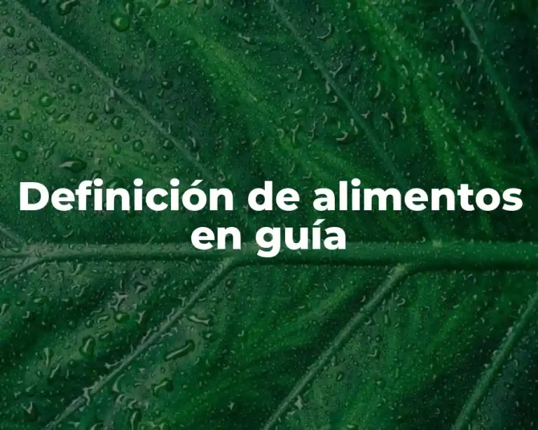 Definición de alimentos en guía