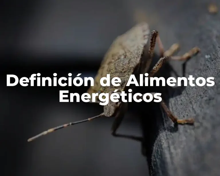 Definición de Alimentos Energéticos