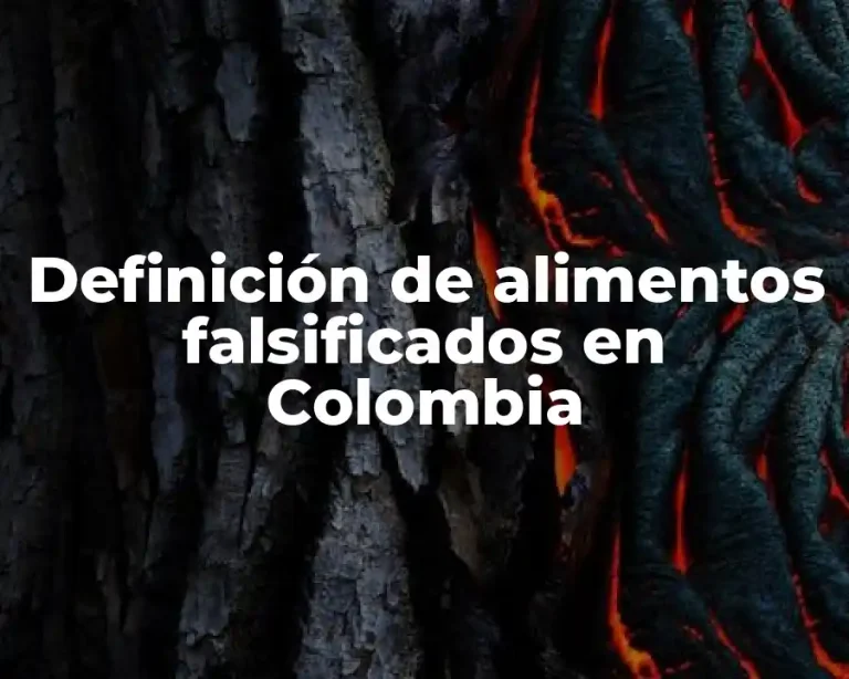 Definición de alimentos falsificados en Colombia