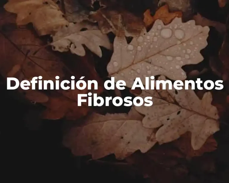 Definición de Alimentos Fibrosos
