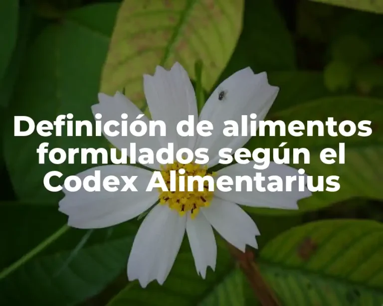 Definición de alimentos formulados según el Codex Alimentarius