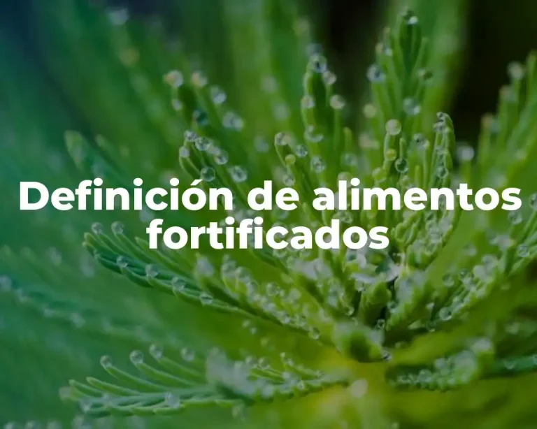Definición de alimentos fortificados