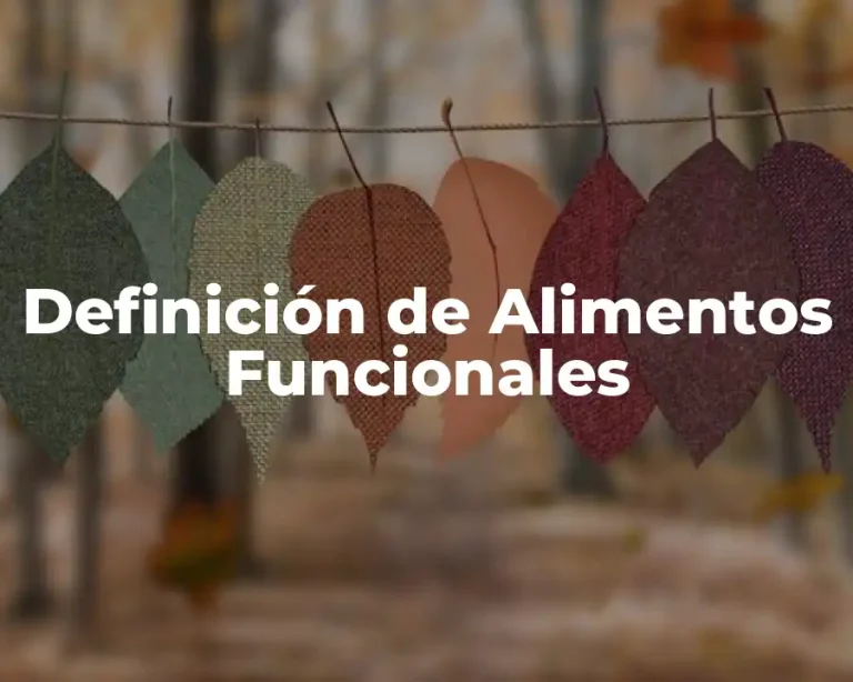 Definición de Alimentos Funcionales