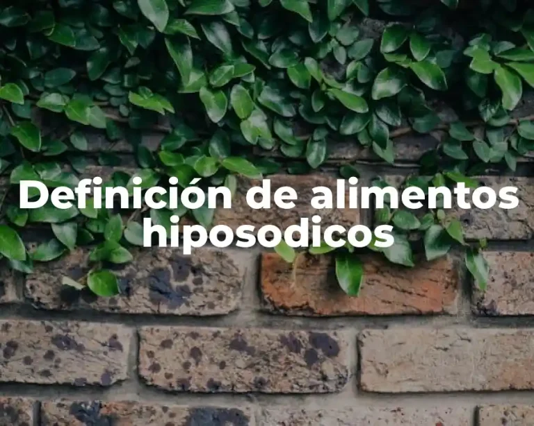 Definición de alimentos hiposodicos