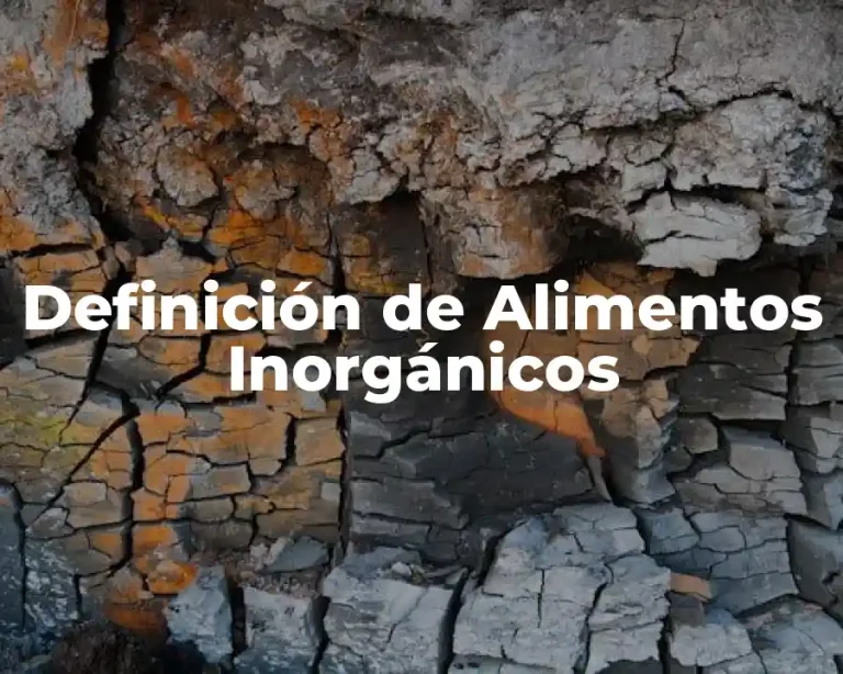 Definición de Alimentos Inorgánicos