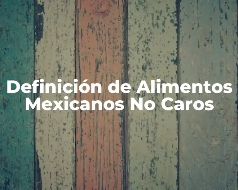 Definición de Alimentos Mexicanos No Caros