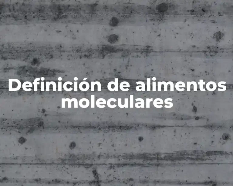 Definición de alimentos moleculares