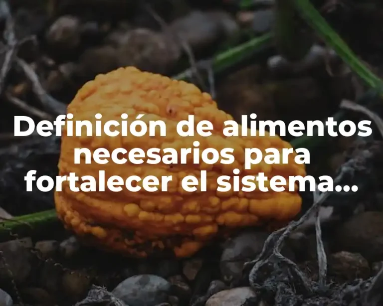 Definición de alimentos necesarios para fortalecer el sistema inmunológico