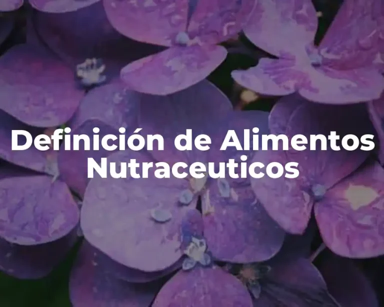 Definición de Alimentos Nutraceuticos