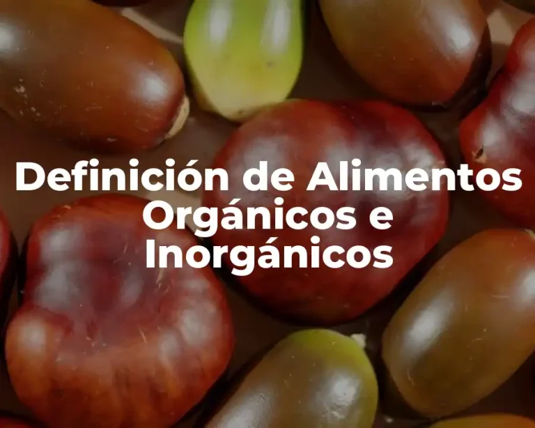 Definición de Alimentos Orgánicos e Inorgánicos