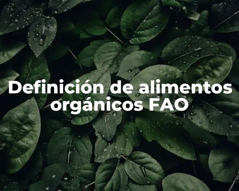 Definición de alimentos orgánicos FAO